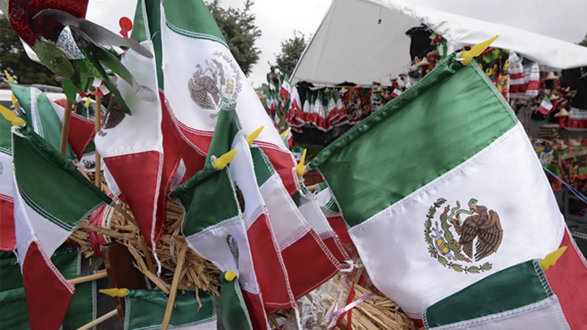 Fiestas Patrias